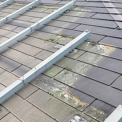 屋根コケ・カビ