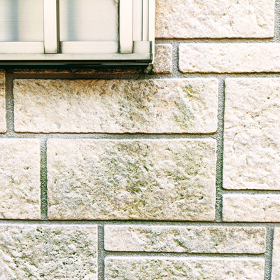 外壁コケ・カビ